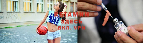 прущие крисы Горняк