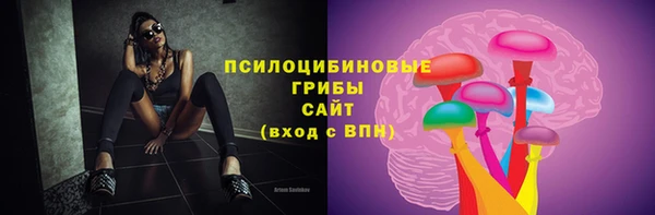 прущие крисы Горняк