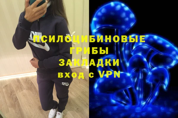 альфа пвп Горнозаводск