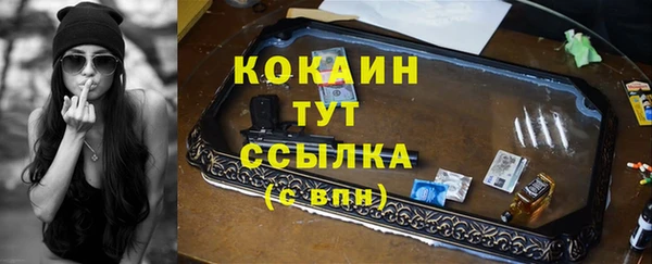 прущие крисы Горняк