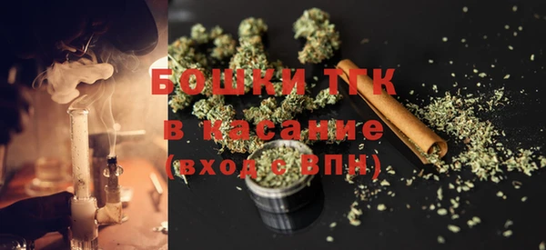 прущие крисы Горняк