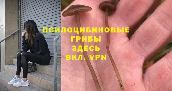 MESCALINE Горно-Алтайск