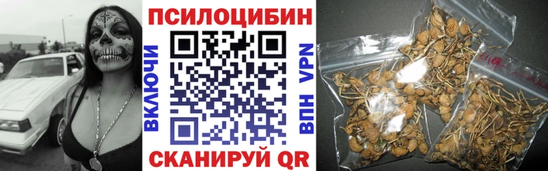 Галлюциногенные грибы Cubensis  Купить  Княгинино 